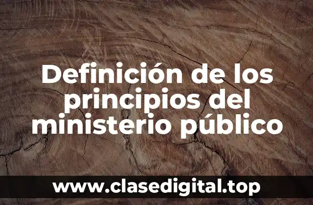 Definición de los principios del ministerio público