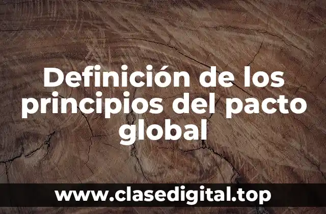 Definición de los principios del pacto global