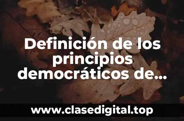 Definición de los principios democráticos de libertad