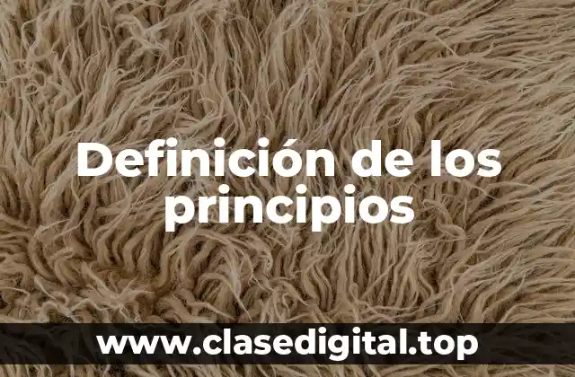 Definición de los principios