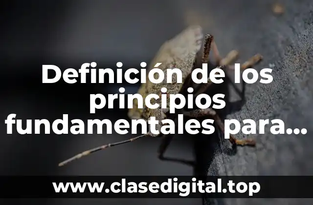 Definición de los principios fundamentales para administración efectivo