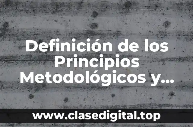 Definición de los Principios Metodológicos y Modelos Didácticos