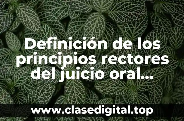 Ejemplos de los principios rectores del juicio oral mercantil