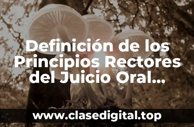 Definición técnica de los Principios Rectores del Juicio Oral Mercantil
