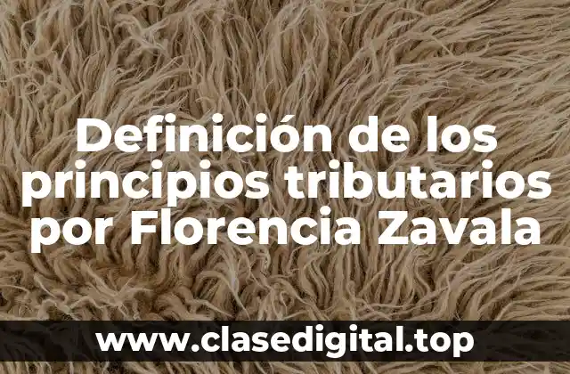 Definición de los principios tributarios por Florencia Zavala
