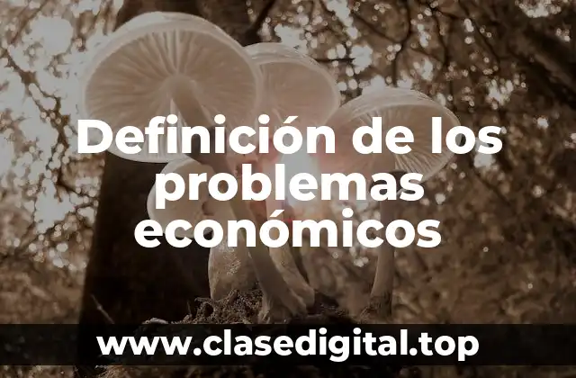 Definición de los problemas económicos