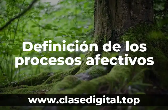 Definición de los procesos afectivos