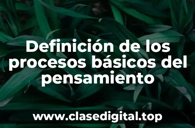 Definición de los procesos básicos del pensamiento