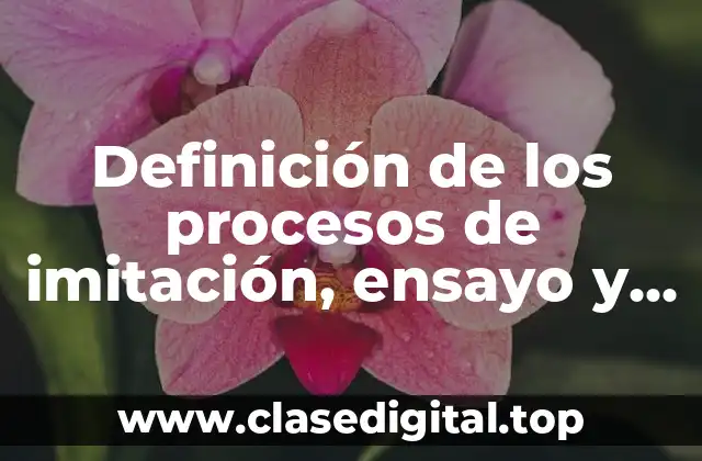 Definición de los procesos de imitación, ensayo y error