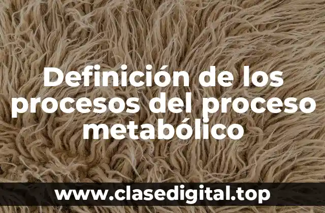 Definición de los procesos del proceso metabólico