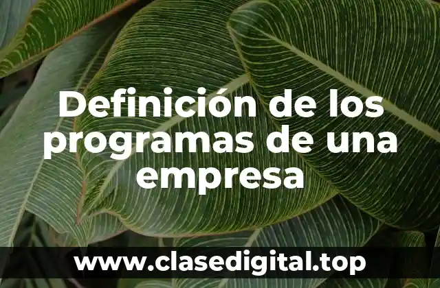Definición de los programas de una empresa