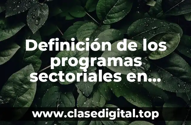 Definición de los programas sectoriales en materia de seguridad pública