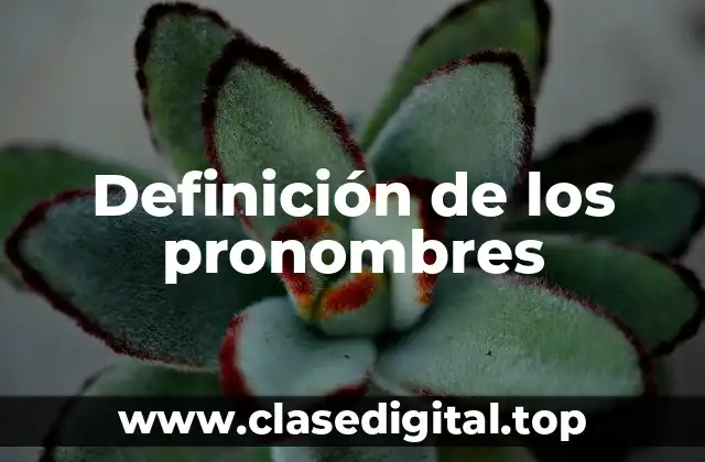 Definición de los pronombres