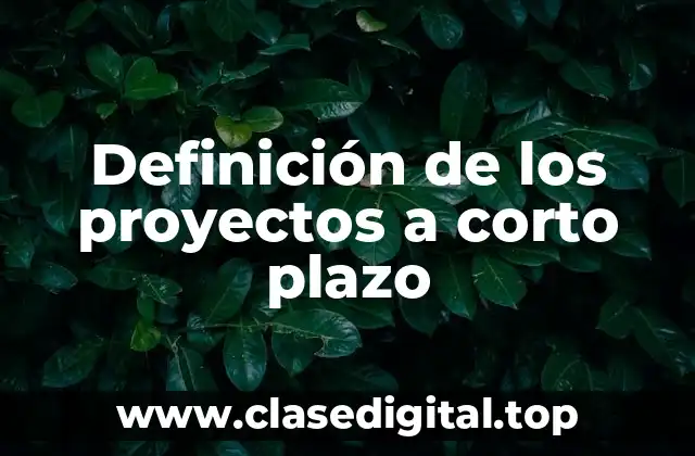 Definición de los proyectos a corto plazo