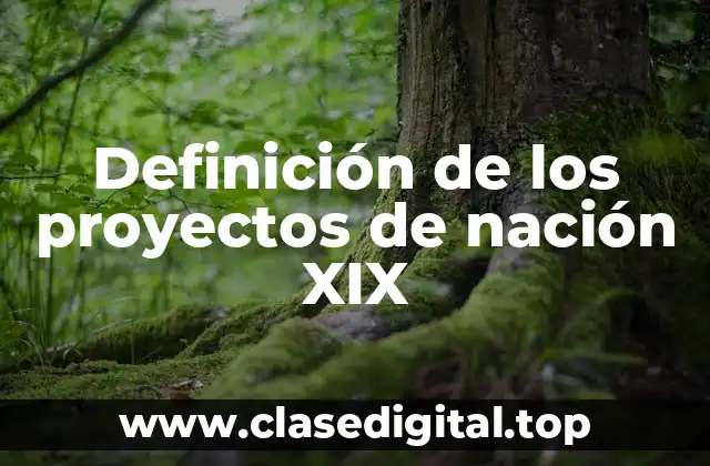 Definición de los proyectos de nación XIX
