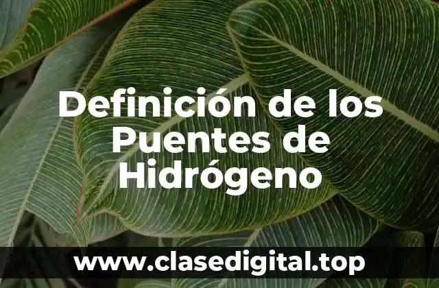 Definición de los Puentes de Hidrógeno