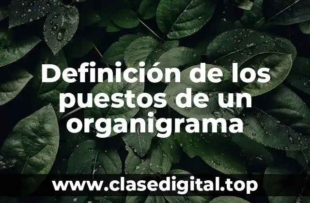 Definición de los puestos de un organigrama