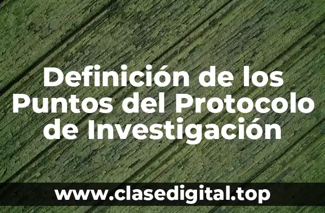 Definición de los Puntos del Protocolo de Investigación