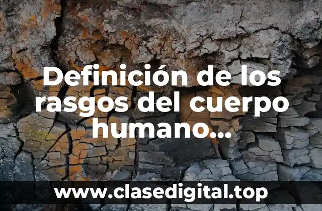 Definición de los rasgos del cuerpo humano antropología