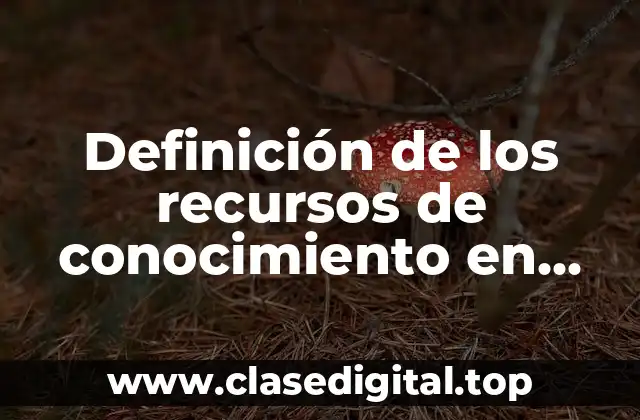 Definición de los recursos de conocimiento en una empresa