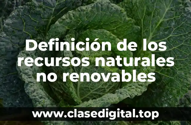 Definición de los recursos naturales no renovables