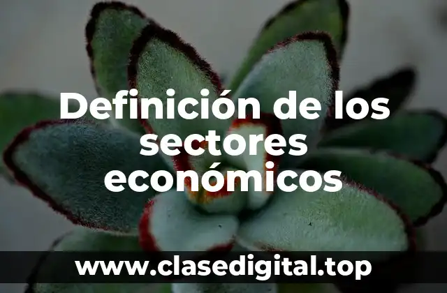 Definición de los sectores económicos