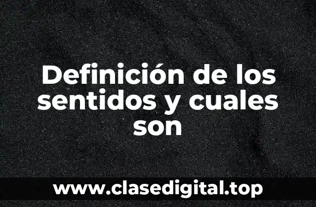 Definición de los sentidos y cuales son