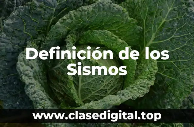 Definición de los Sismos