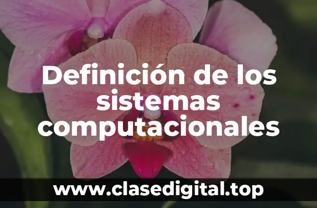 Definición de los sistemas computacionales