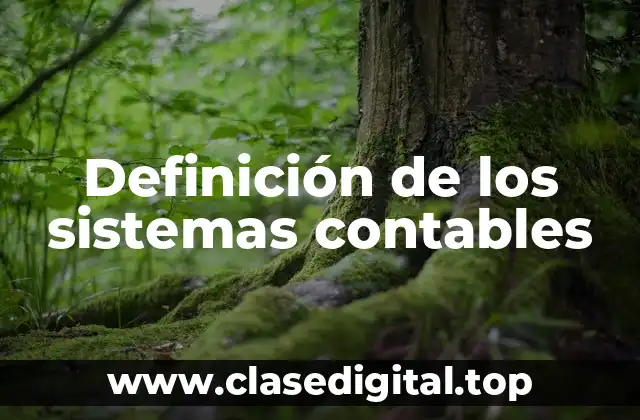 Definición de los sistemas contables