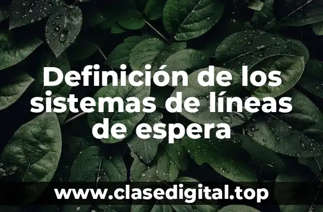 Definición de los sistemas de líneas de espera