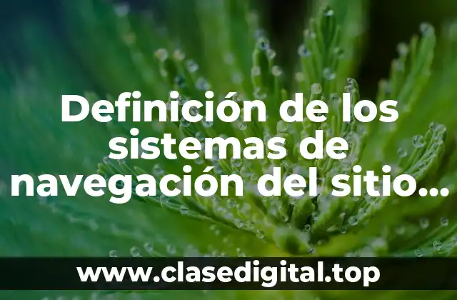 Definición técnica de los sistemas de navegación del sitio web