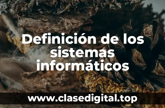 Definición de los sistemas informáticos
