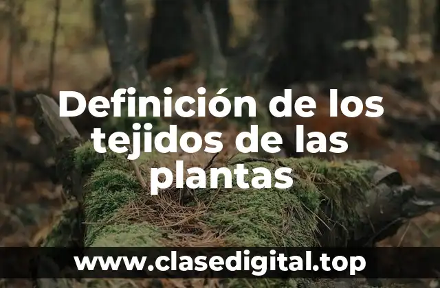 Definición de los tejidos de las plantas