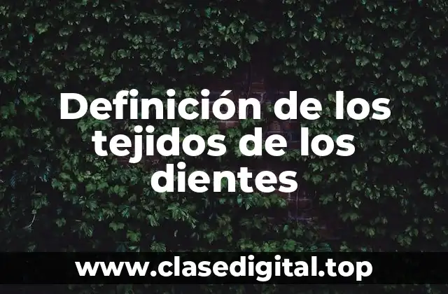Definición de los tejidos de los dientes
