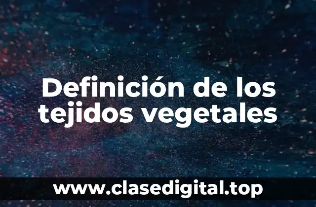 Definición de los tejidos vegetales