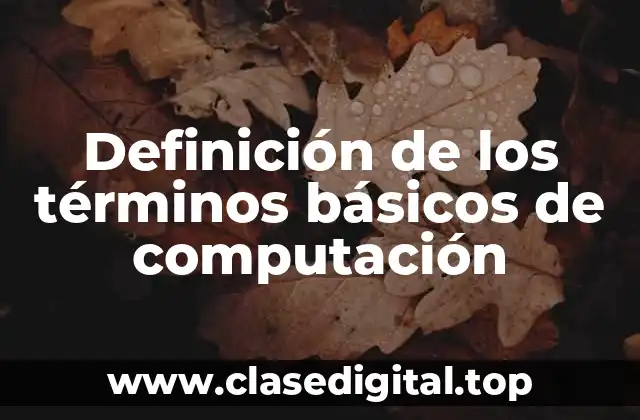 Definición de los términos básicos de computación