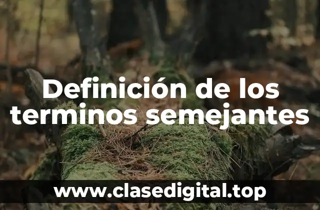 Definición de los terminos semejantes