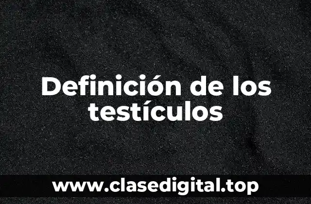 Definición de los testículos