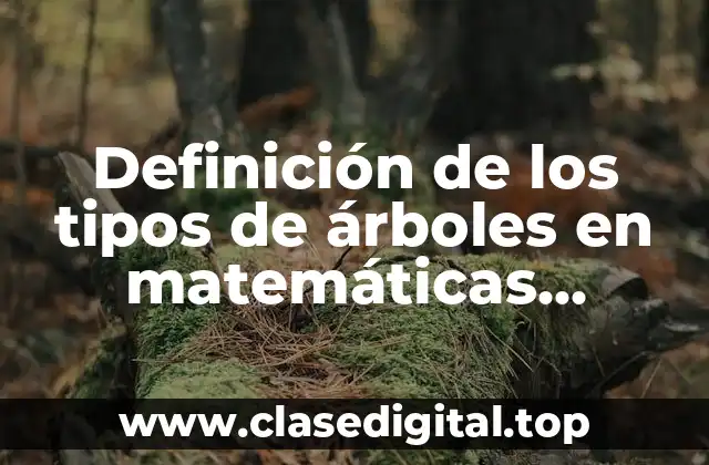 Definición de los tipos de árboles en matemáticas discretas