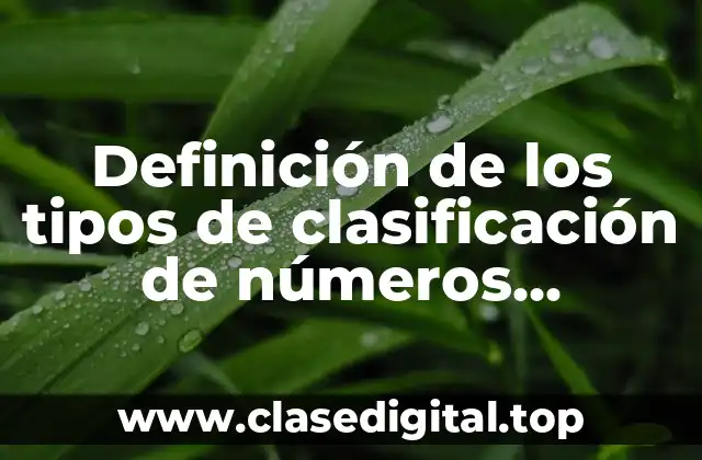 Definición de los tipos de clasificación de números naturales