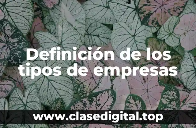 Definición de los tipos de empresas
