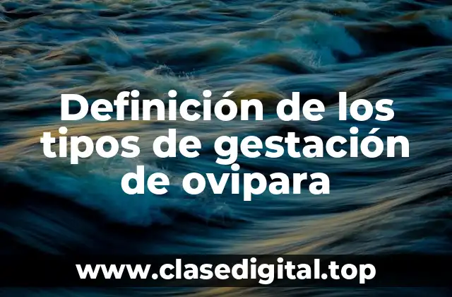 Definición de los tipos de gestación de ovipara