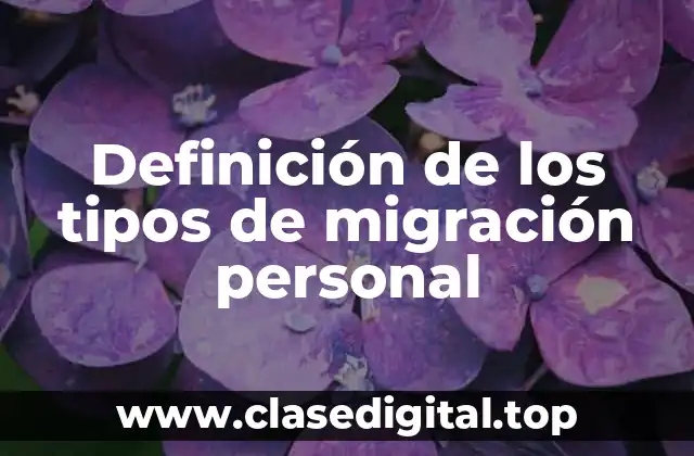 Definición de los tipos de migración personal