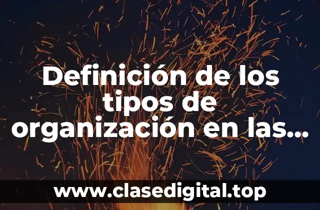 Definición de los tipos de organización en las empresas