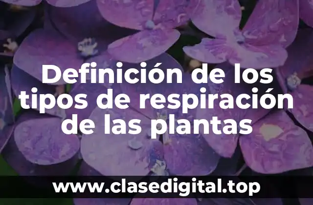 Definición de los tipos de respiración de las plantas