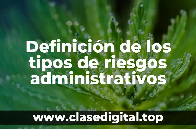 Definición de los tipos de riesgos administrativos