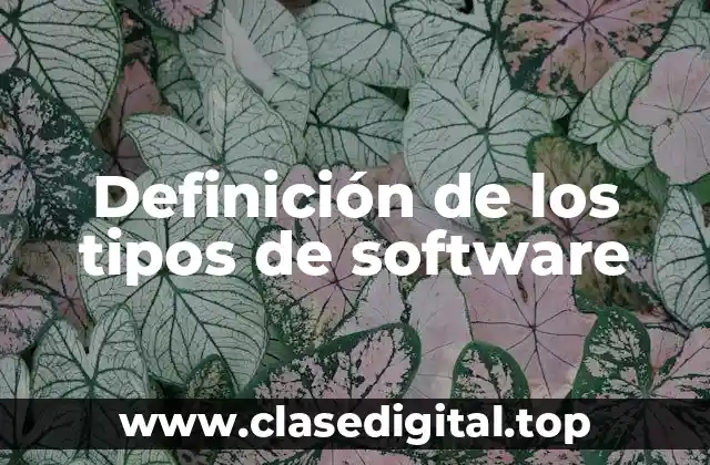 Ejemplos de software