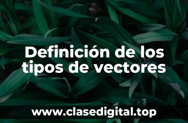 Ejemplos de los tipos de vectores