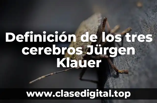 Definición de los tres cerebros Jürgen Klauer